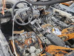 Honda Accord 2010