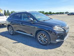 Lexus RX 2013