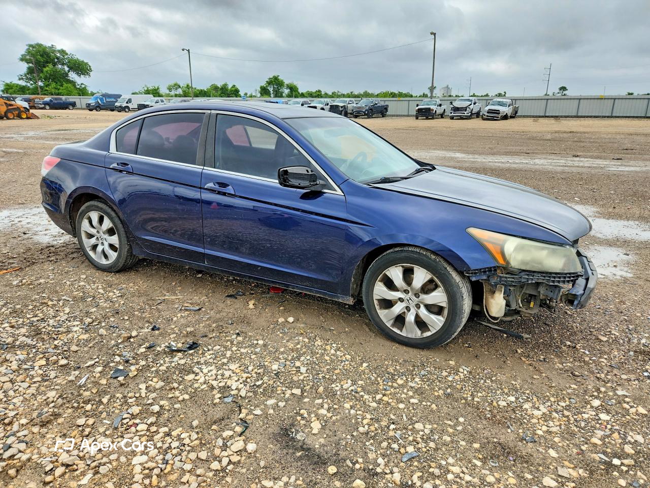Honda Accord 2010