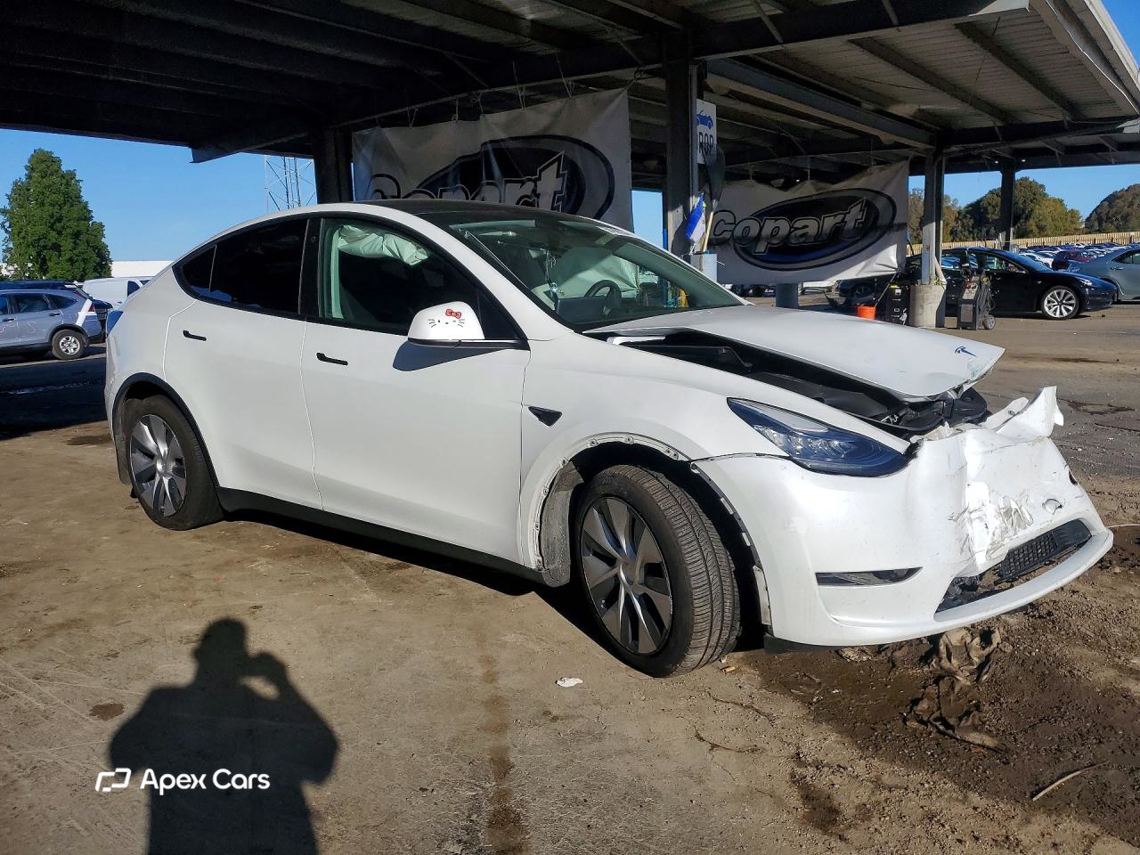 Tesla Model Y 2021