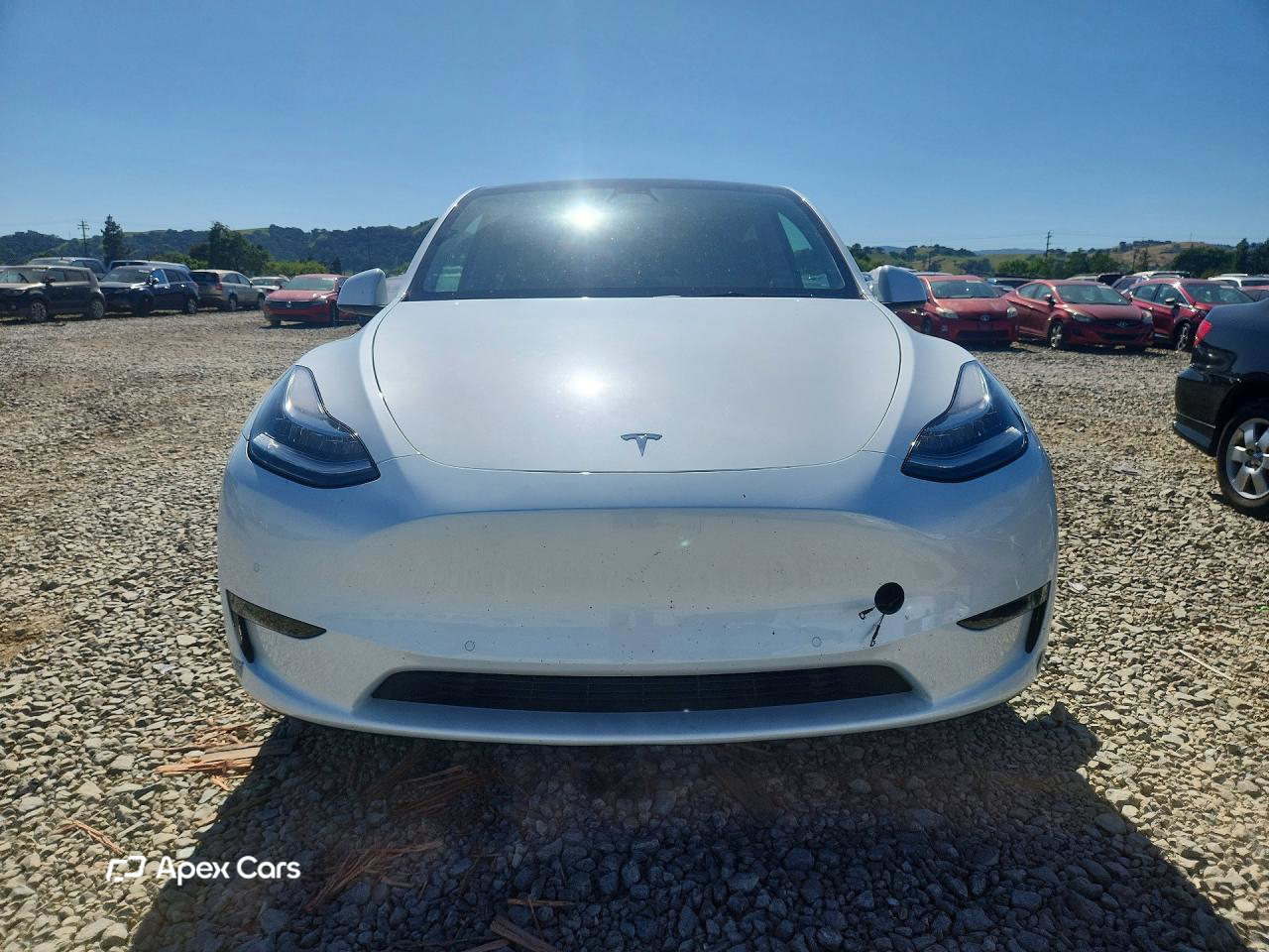 Tesla Model Y 2021
