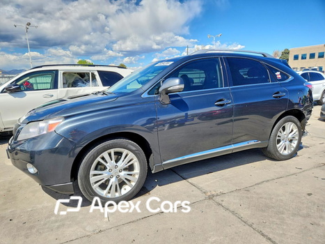 Lexus RX 2011 - Image 1 of 14