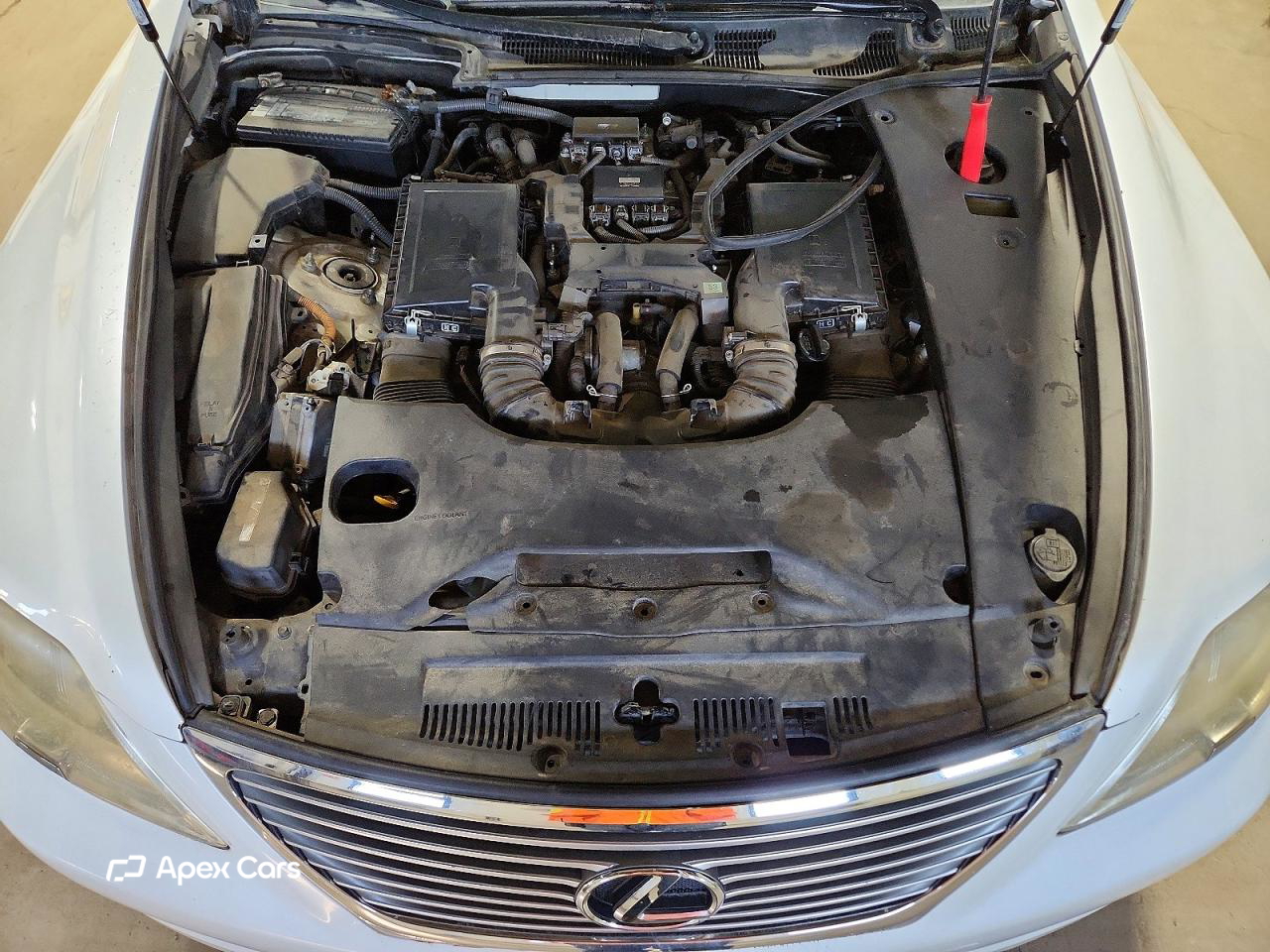 Lexus LS 2008