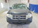 Ford Escape 2008