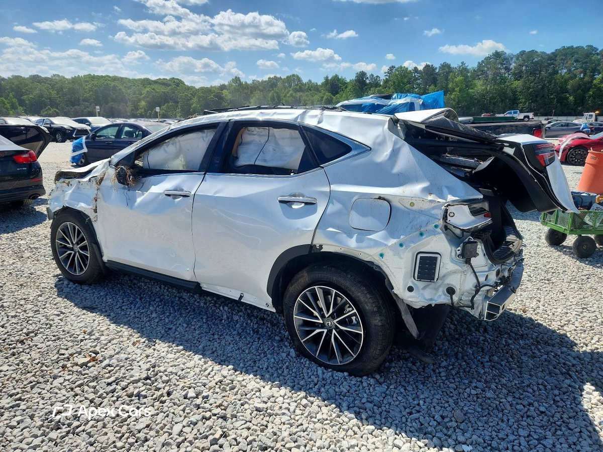 Lexus NX 2025