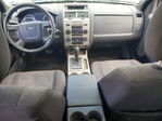 Ford Escape 2011