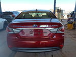 Hyundai Sonata 2013