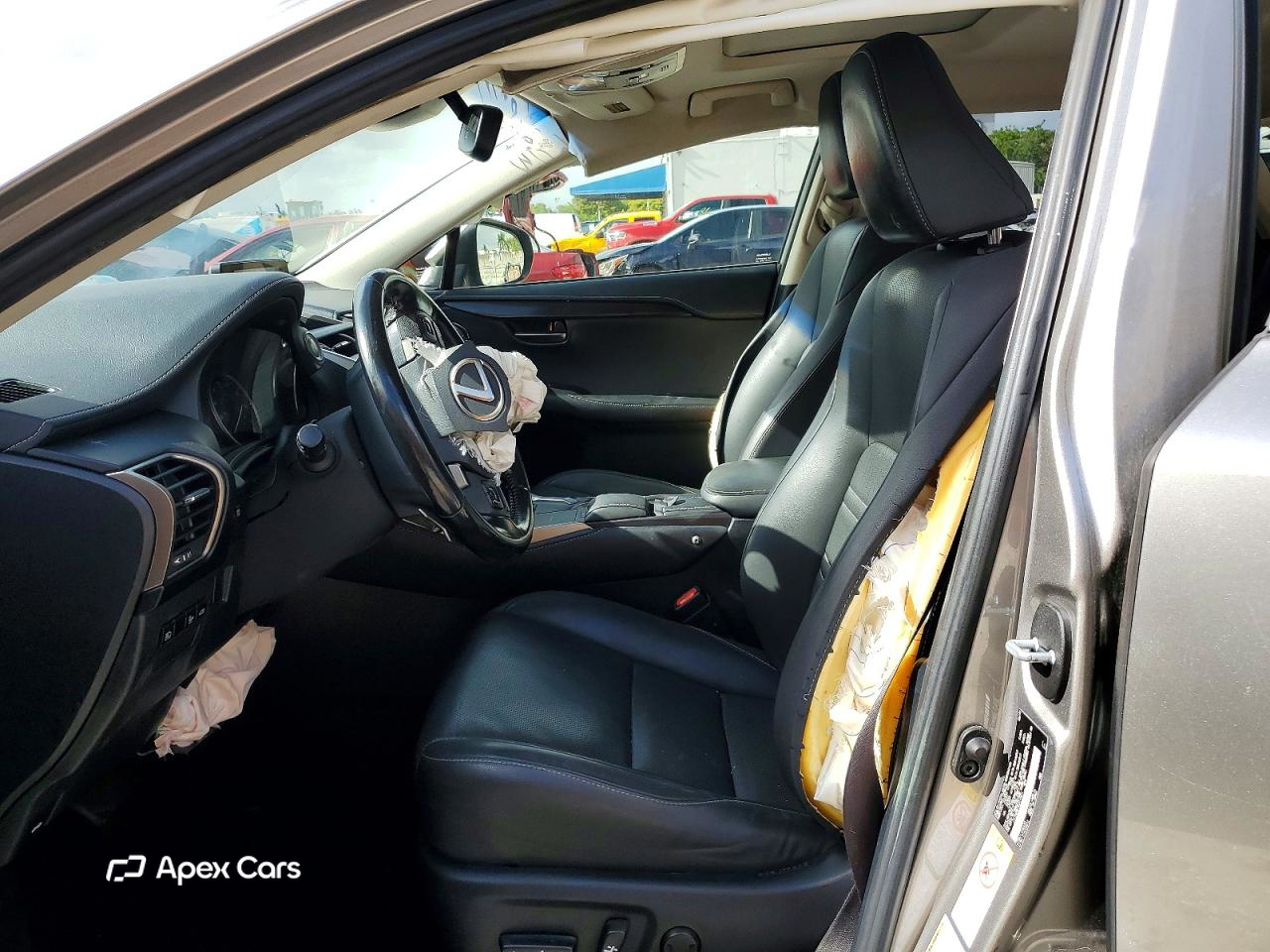 Lexus NX 2019