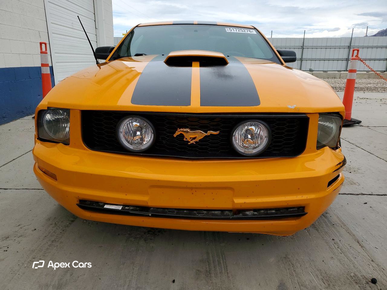 Ford Mustang 2007