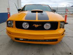 Ford Mustang 2007