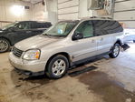 Ford Freestar 2005
