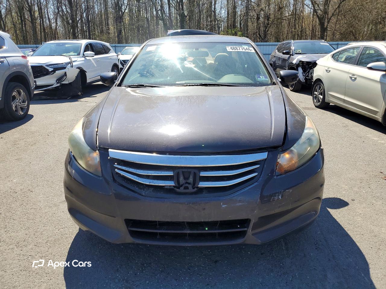Honda Accord 2011