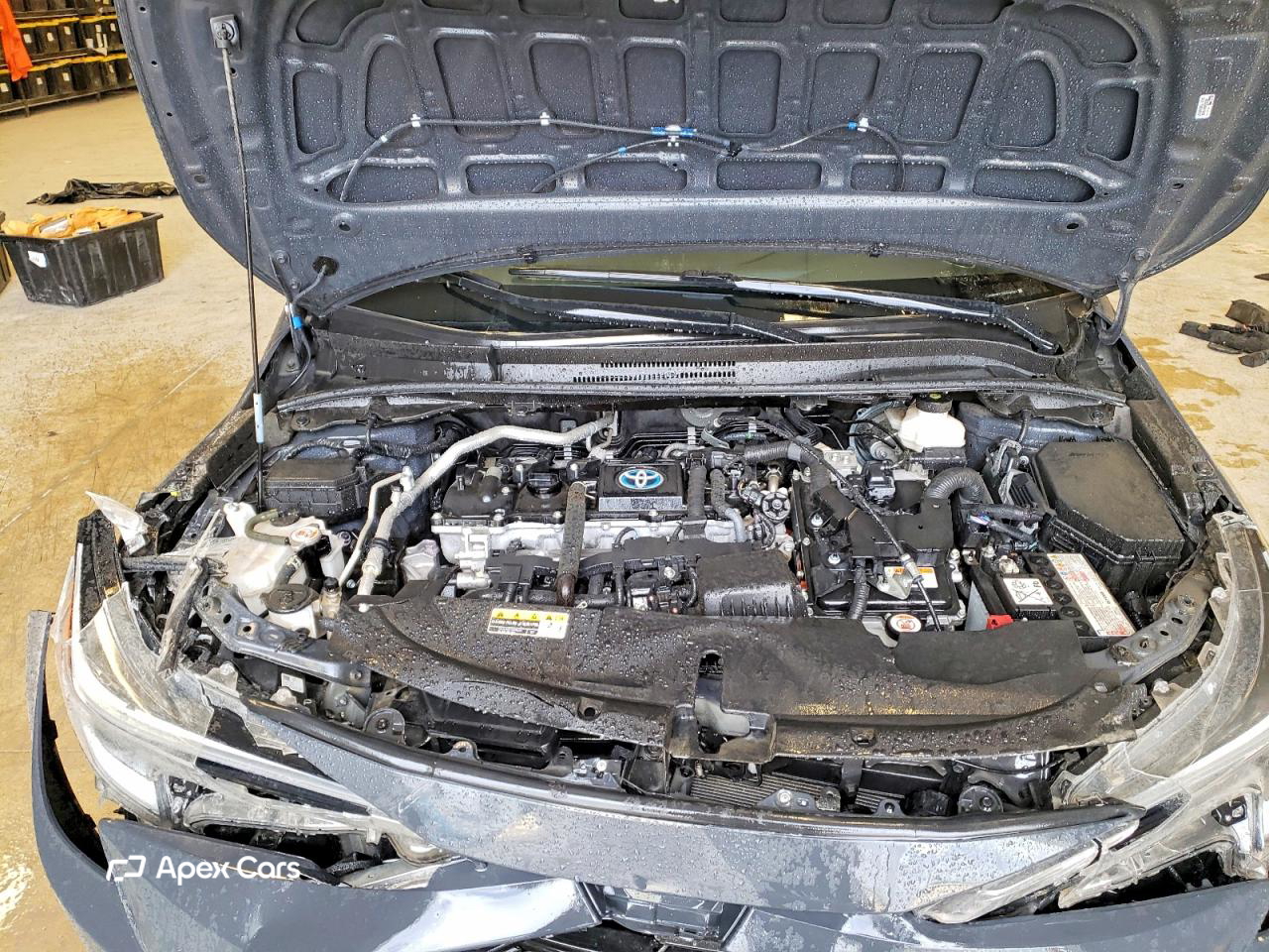 Toyota Corolla 2024