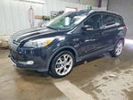 Ford Escape 2013