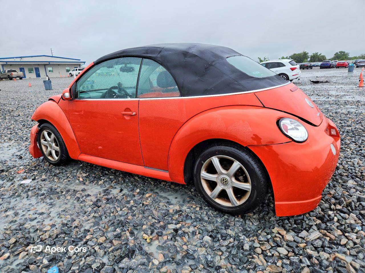 Volkswagen Beetle 2004
