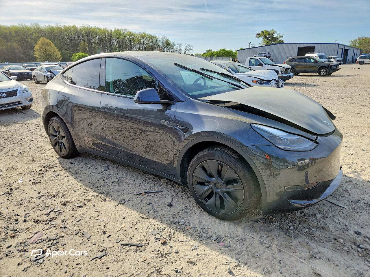 Tesla Model Y 2025