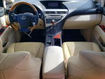 Lexus RX 2012