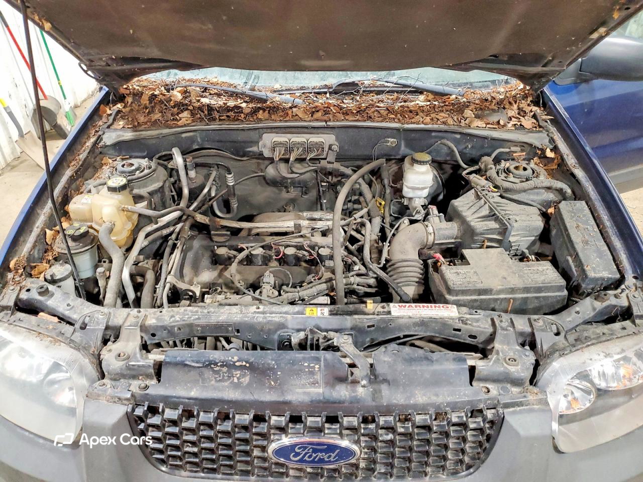 Ford Escape 2007