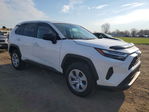 Toyota RAV 4 2024