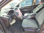 Ford Escape 2016