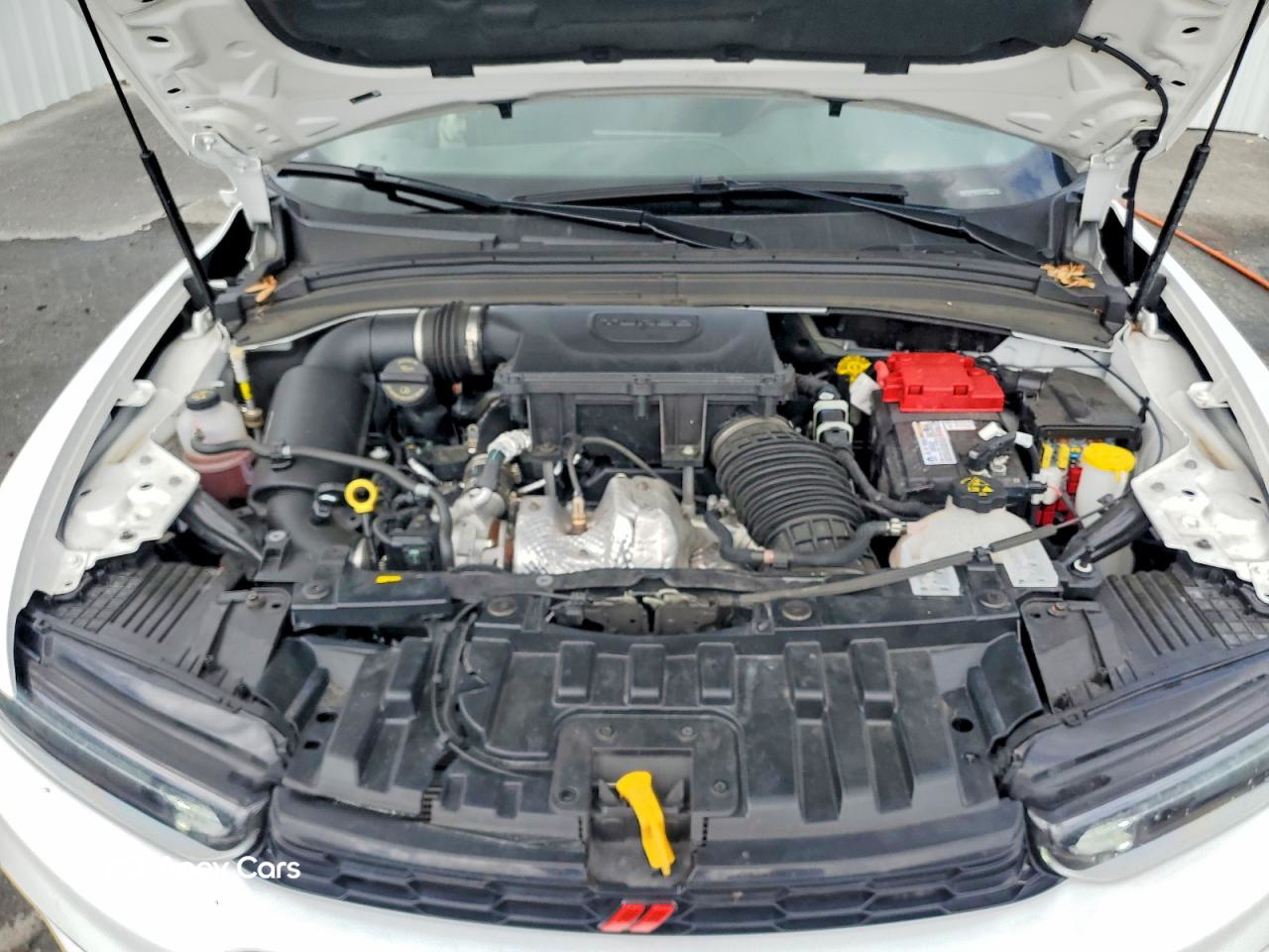 Dodge Hornet 2024