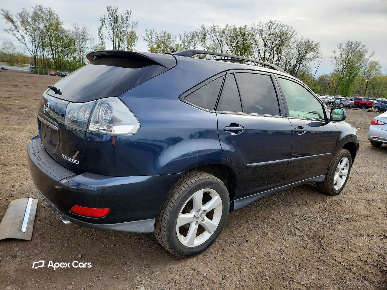 Lexus RX 2004