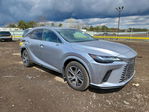 Lexus RX 2024