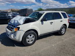Ford Escape 2011