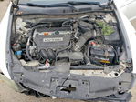Honda Accord 2009