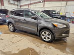 Ford Escape 2016