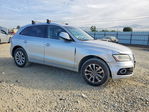 Audi Q5 2013