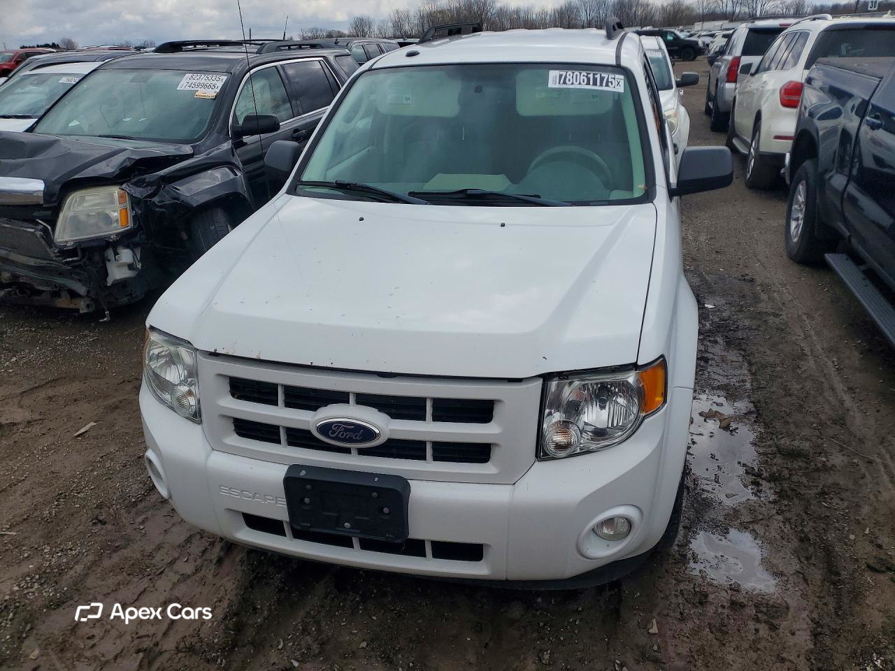 Ford Escape 2011