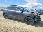 Kia Niro 2018