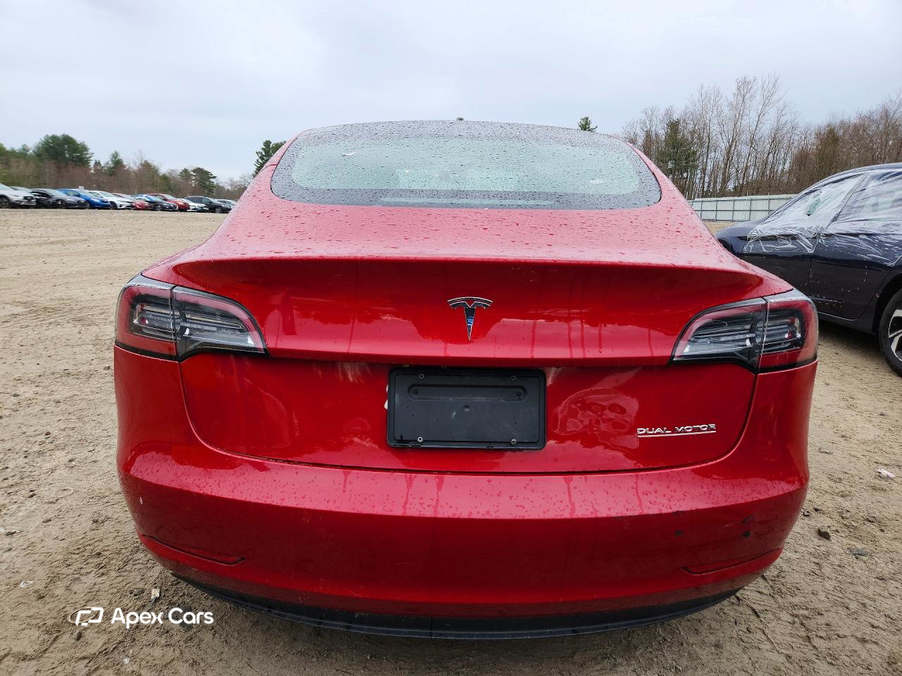 Tesla Model 3 2020