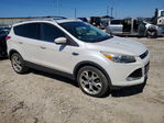 Ford Escape 2016
