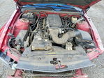 Ford Mustang 2007