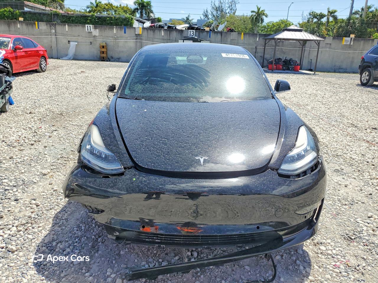 Tesla Model 3 2019
