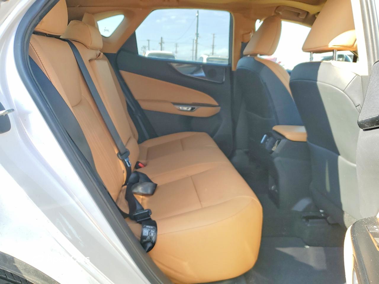 Lexus NX 2024