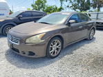 Nissan Maxima 2013