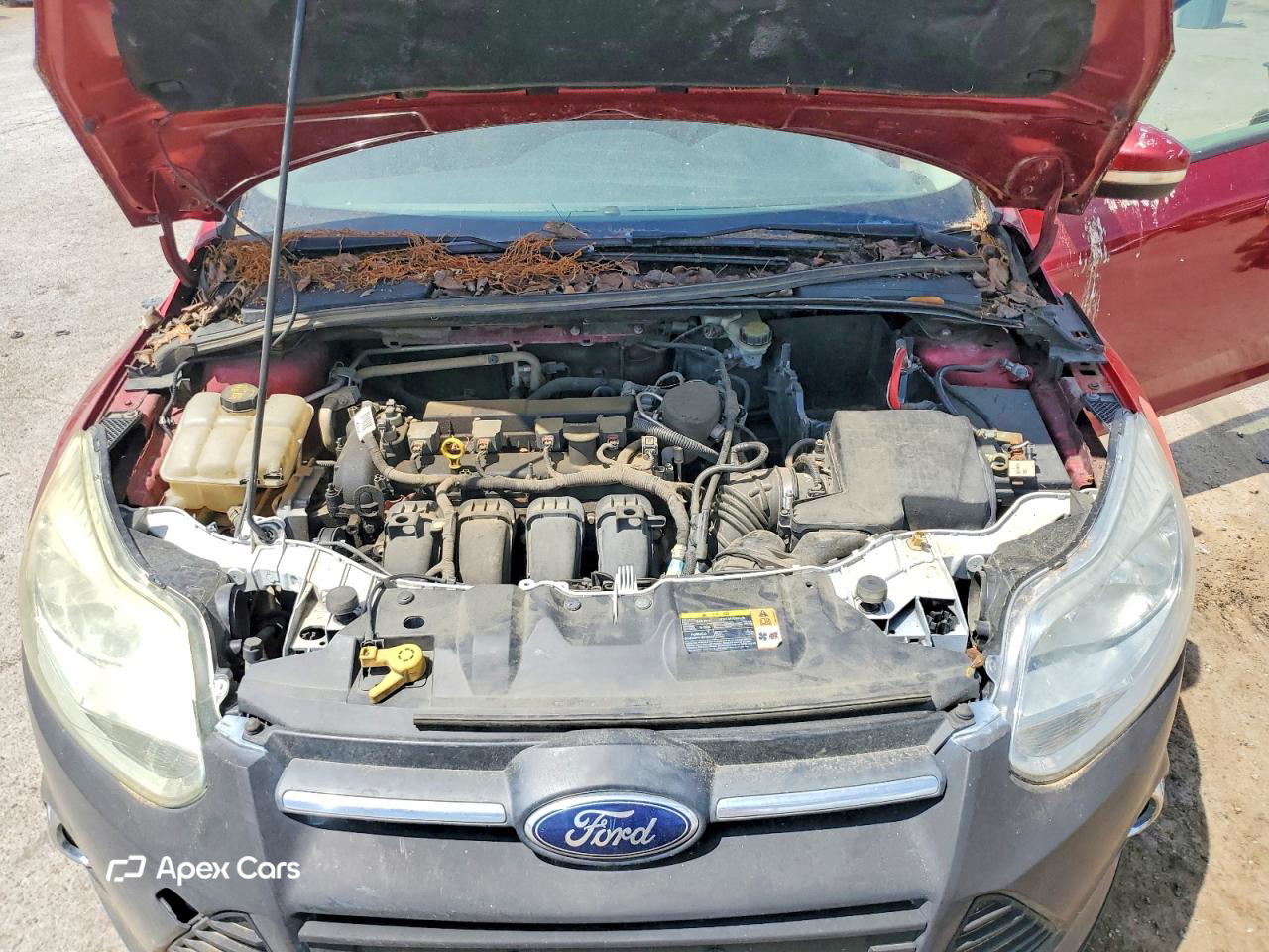 Ford Focus 2013