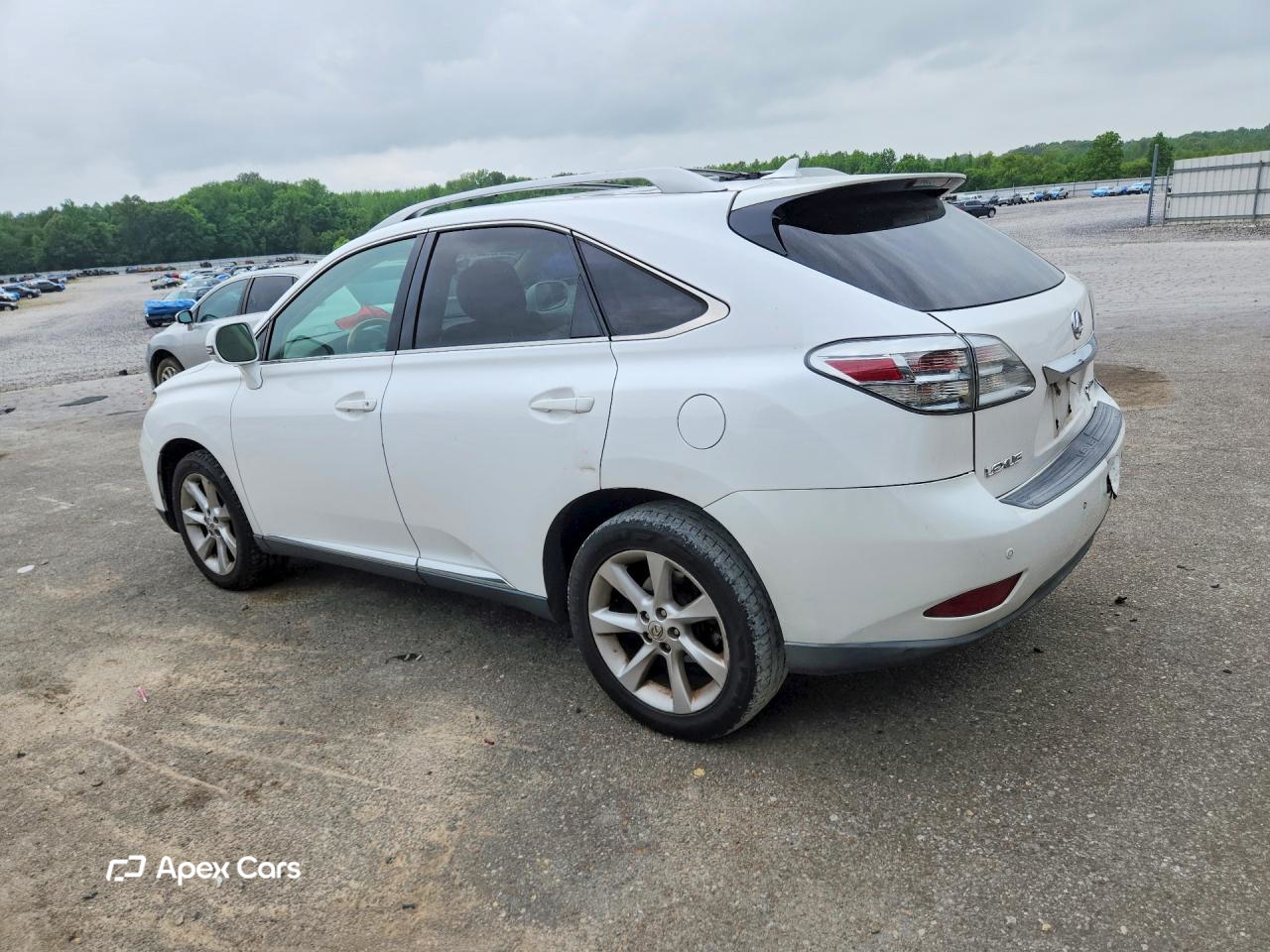 Lexus RX 2010