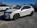 Lexus UX 2022