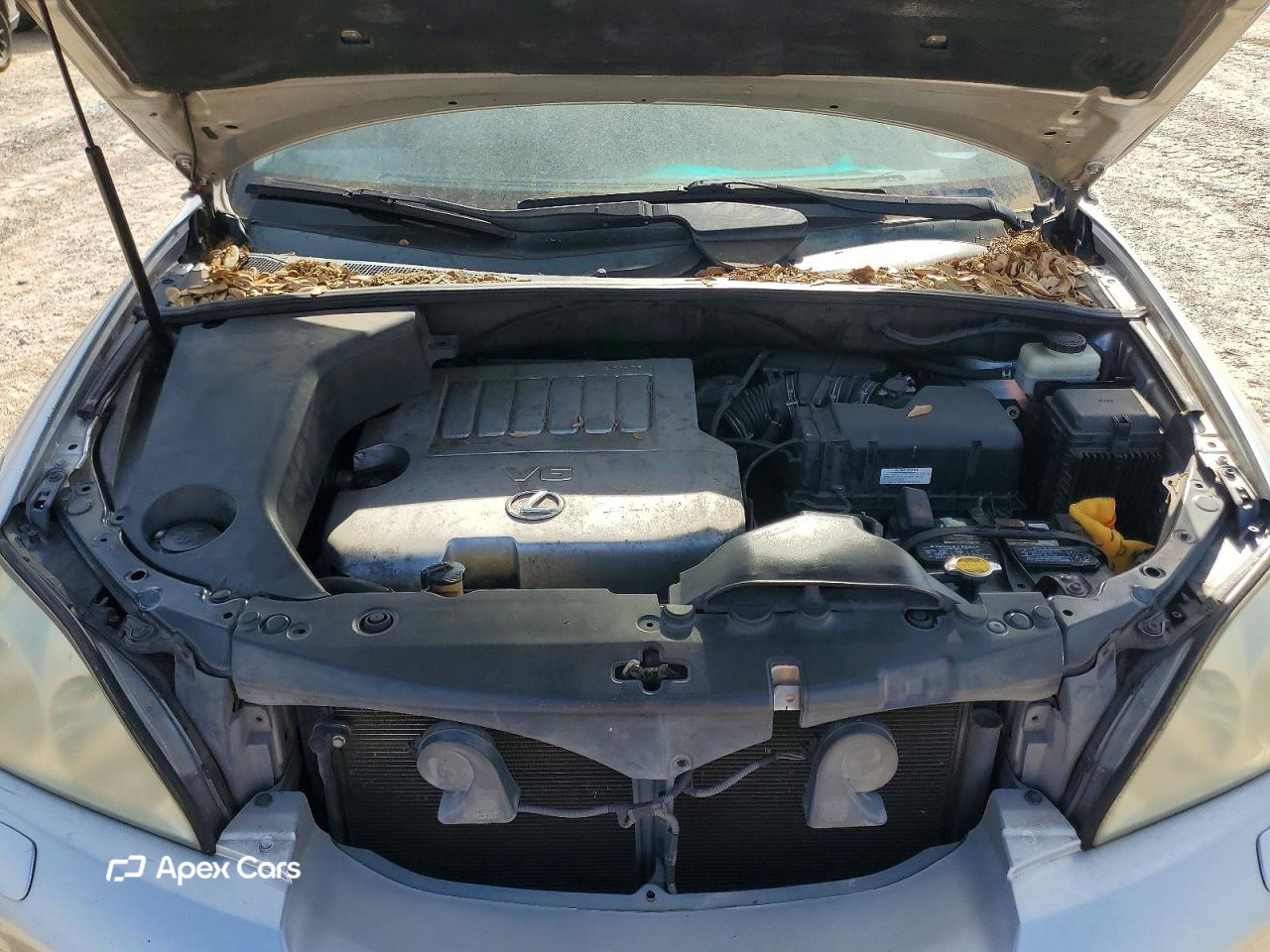 Lexus RX 2009