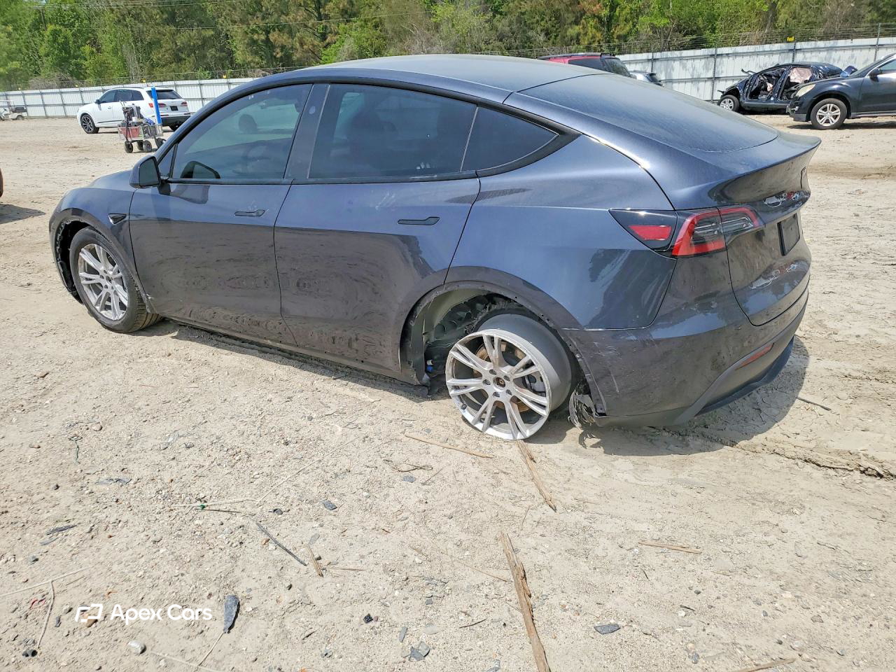 Tesla Model Y 2024