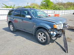 Ford Escape 2012
