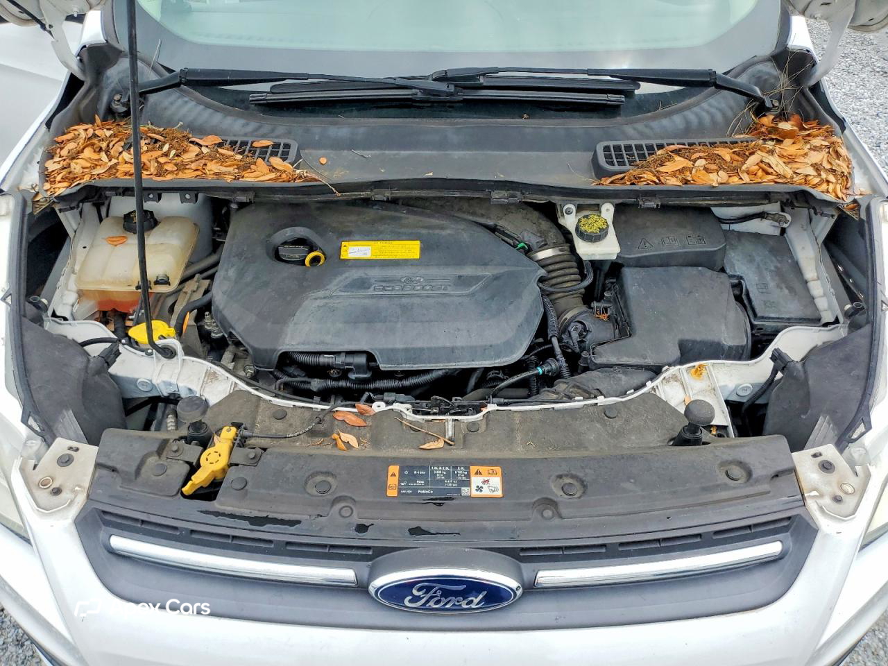 Ford Escape 2016