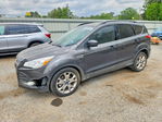 Ford Escape 2015
