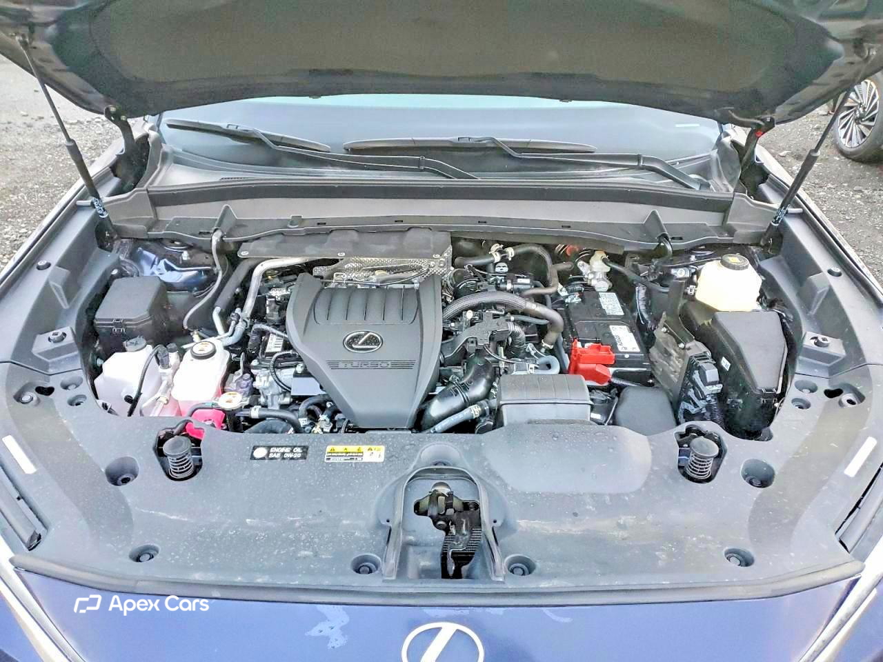 Lexus TX 2025