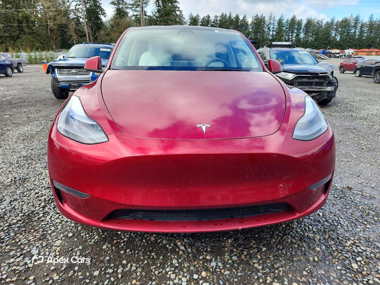 Tesla Model Y 2025