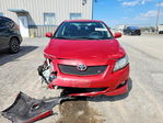 Toyota Corolla 2009